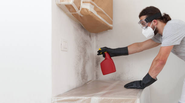 Professional Attic Mold Removal technician working in Jacksonville, NC
