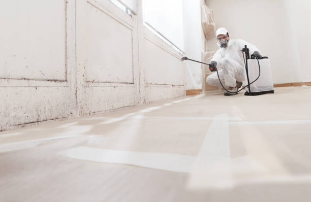 24/7 Emergency Attic Mold Removal experts in Jacksonville, NC